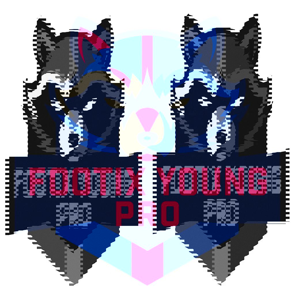 Footix Young Professionals