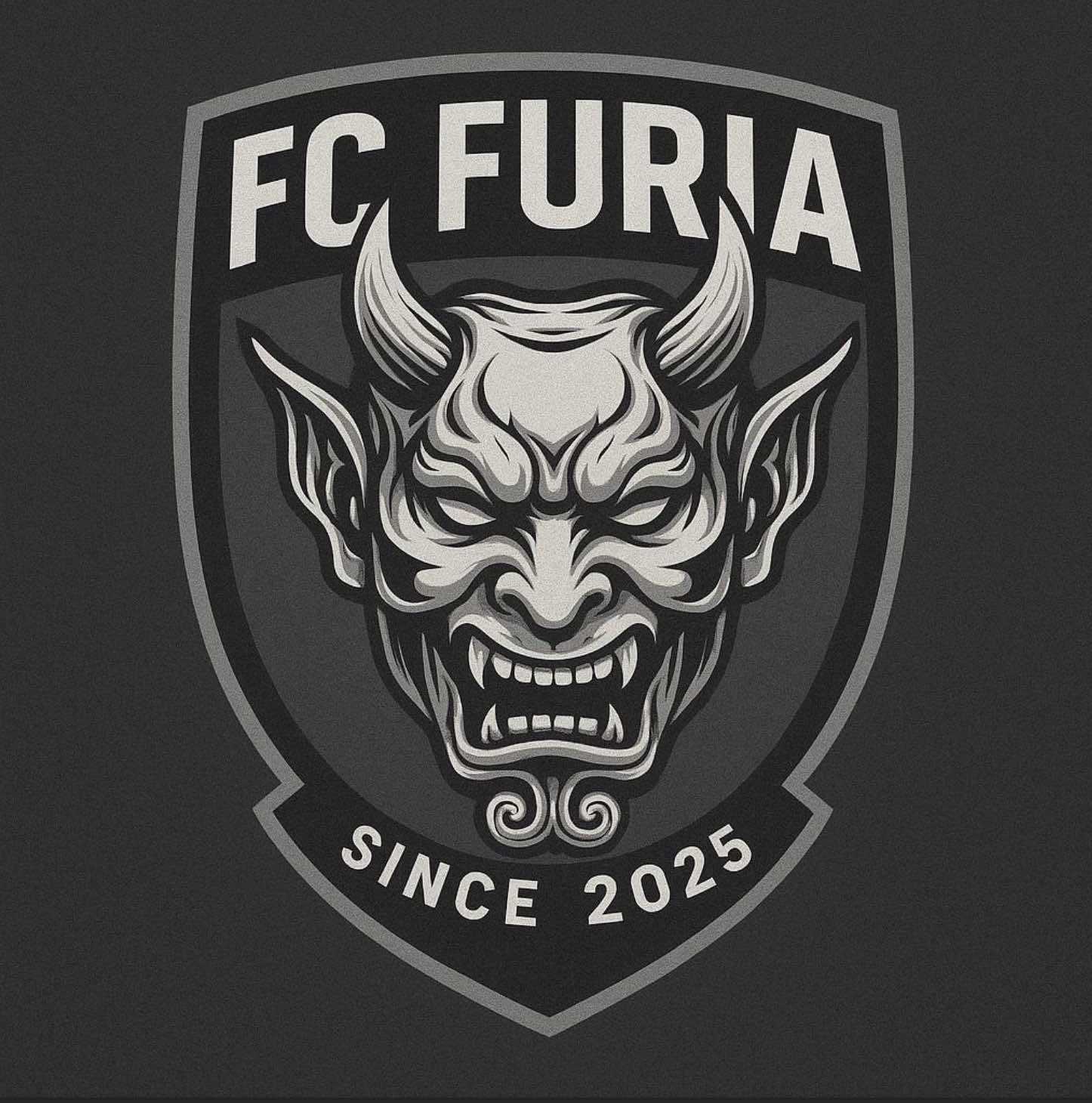 FC Furia
